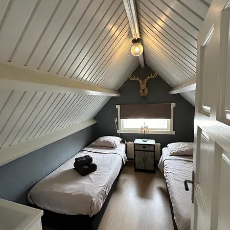 Cosy *
